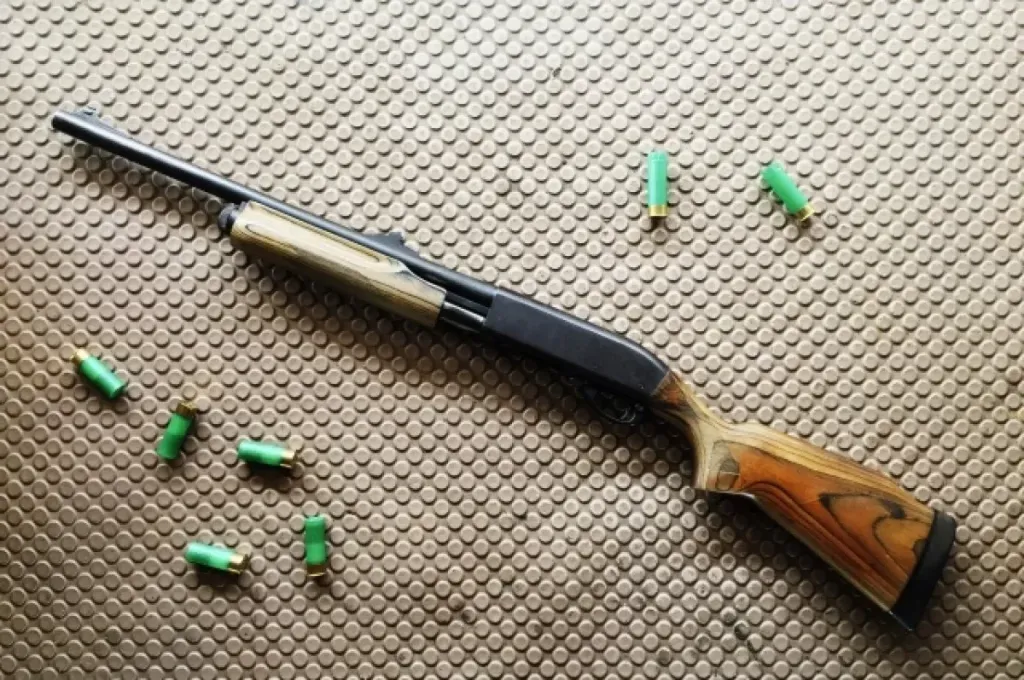 В Заринске мальчик выстрелил в брата из заряженного ружья отца