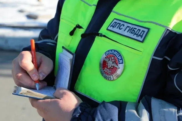 Двух братьев на Алтае арестовали на 10 суток за пьяную езду