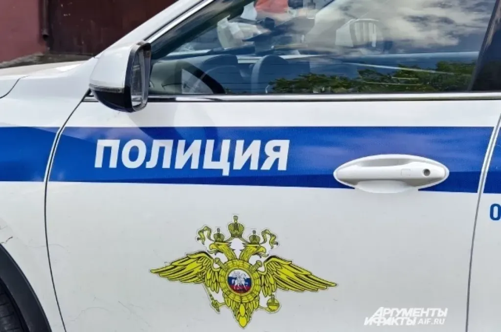19-летний студент поджёг служебную машину у отдела полиции в Барнауле