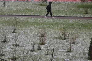 Штормовое предупреждение объявили в Алтайском крае из-за ветра до 25 м/с