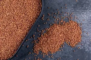 Производство сельхозпродукции на Алтае может упасть на 20%