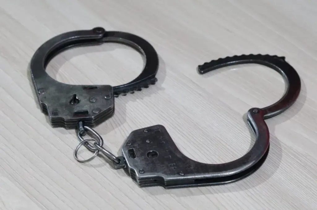 Жителя Барнаула осудили на 6,5 года за пропаганду терроризма