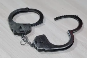 Жителя Барнаула осудили на 6,5 года за пропаганду терроризма
