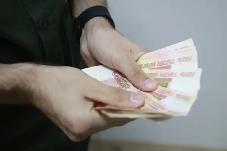 Более 28 тысяч работающих родителей Алтая получили семейную выплату